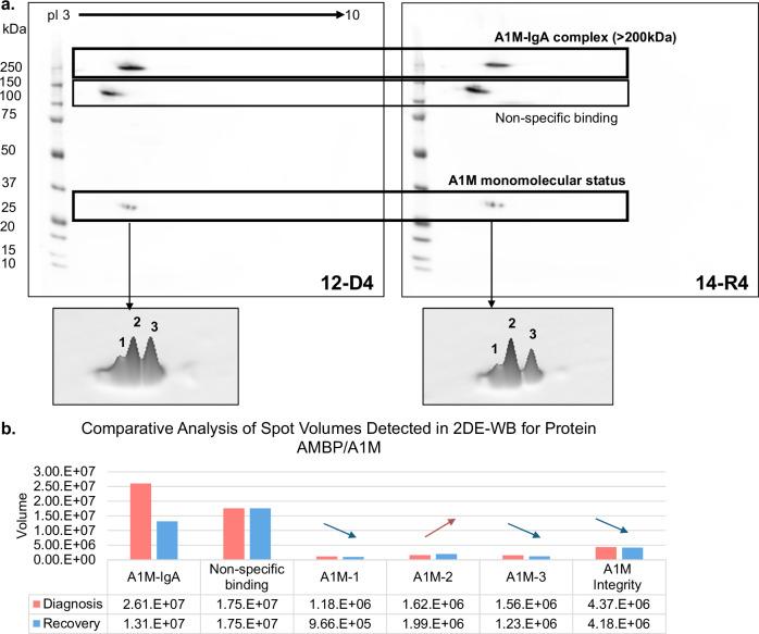 https://cdn.ncbi.nlm.nih.gov/pmc/blobs/143f/12402120/f3c8c7636ce7/43856_2025_1075_Fig4_HTML.jpg
