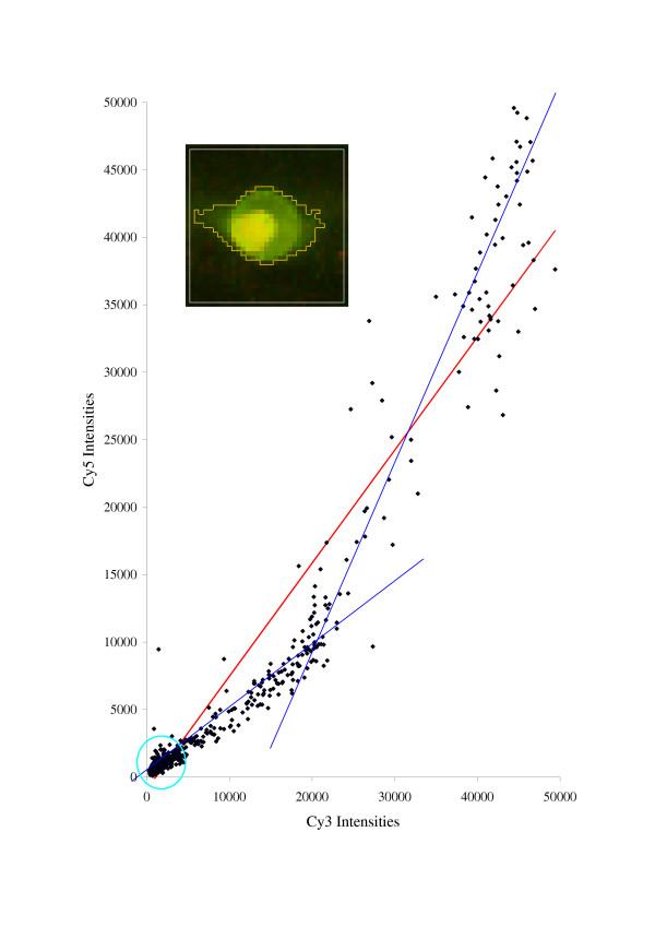 https://cdn.ncbi.nlm.nih.gov/pmc/blobs/1440/1369007/244959b32c9a/1471-2105-6-293-1.jpg