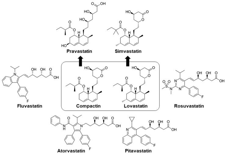 https://cdn.ncbi.nlm.nih.gov/pmc/blobs/1440/8156779/1d199db2994a/pharmaceuticals-14-00470-g001.jpg