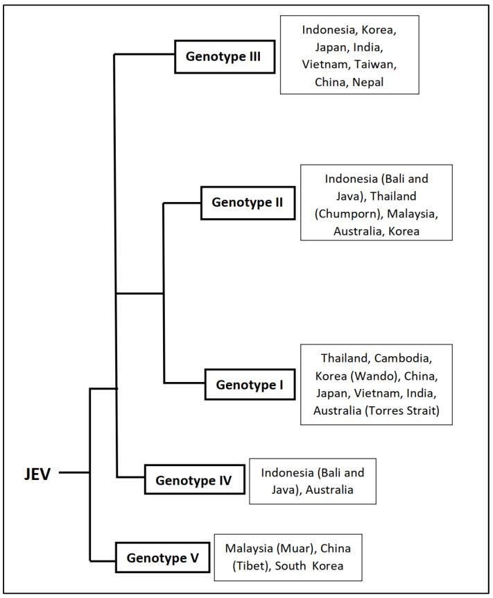 https://cdn.ncbi.nlm.nih.gov/pmc/blobs/1442/10146181/7df5026bd162/vaccines-11-00742-g003.jpg