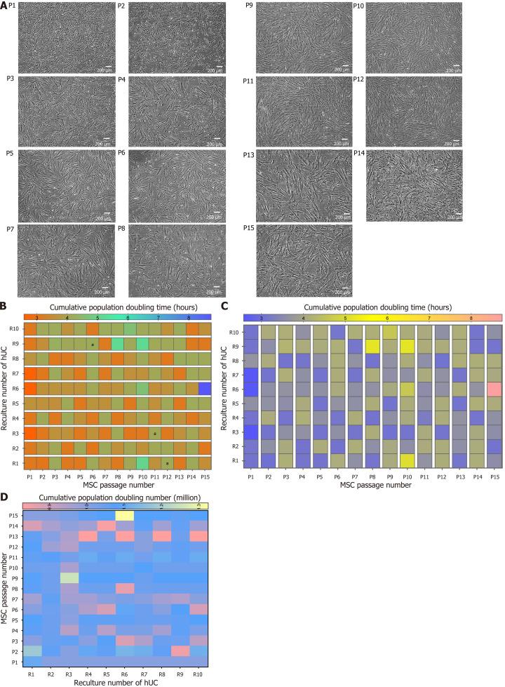https://cdn.ncbi.nlm.nih.gov/pmc/blobs/1443/11056638/508406b051e2/WJSC-16-410-g008.jpg
