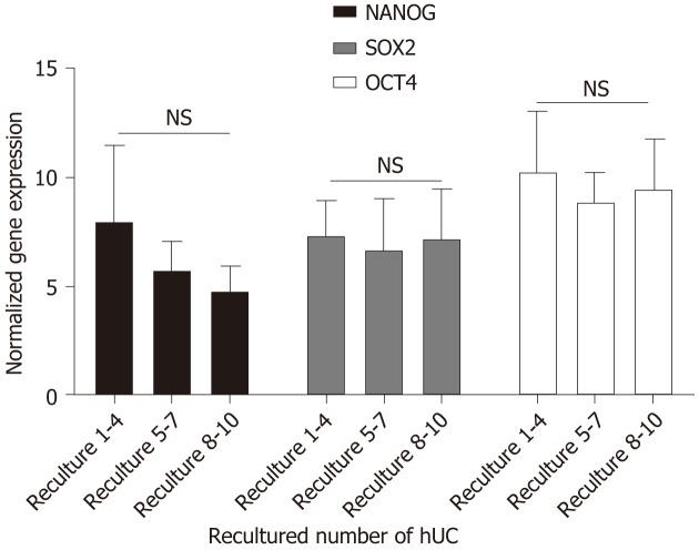 https://cdn.ncbi.nlm.nih.gov/pmc/blobs/1443/11056638/80cf13774b04/WJSC-16-410-g007.jpg