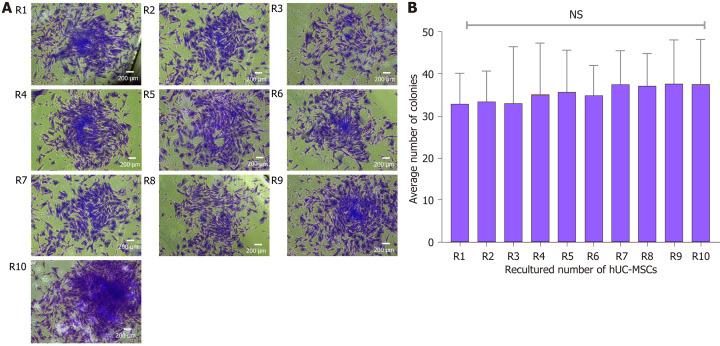 https://cdn.ncbi.nlm.nih.gov/pmc/blobs/1443/11056638/b5be28a81bcd/WJSC-16-410-g011.jpg