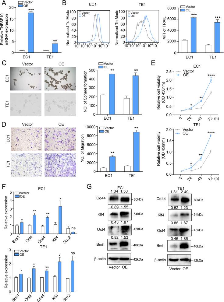 https://cdn.ncbi.nlm.nih.gov/pmc/blobs/1443/8223376/1bf9de1120c9/13046_2021_1972_Fig3_HTML.jpg