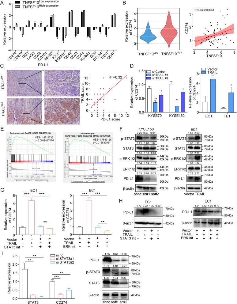 https://cdn.ncbi.nlm.nih.gov/pmc/blobs/1443/8223376/78d2a6e30ed3/13046_2021_1972_Fig5_HTML.jpg