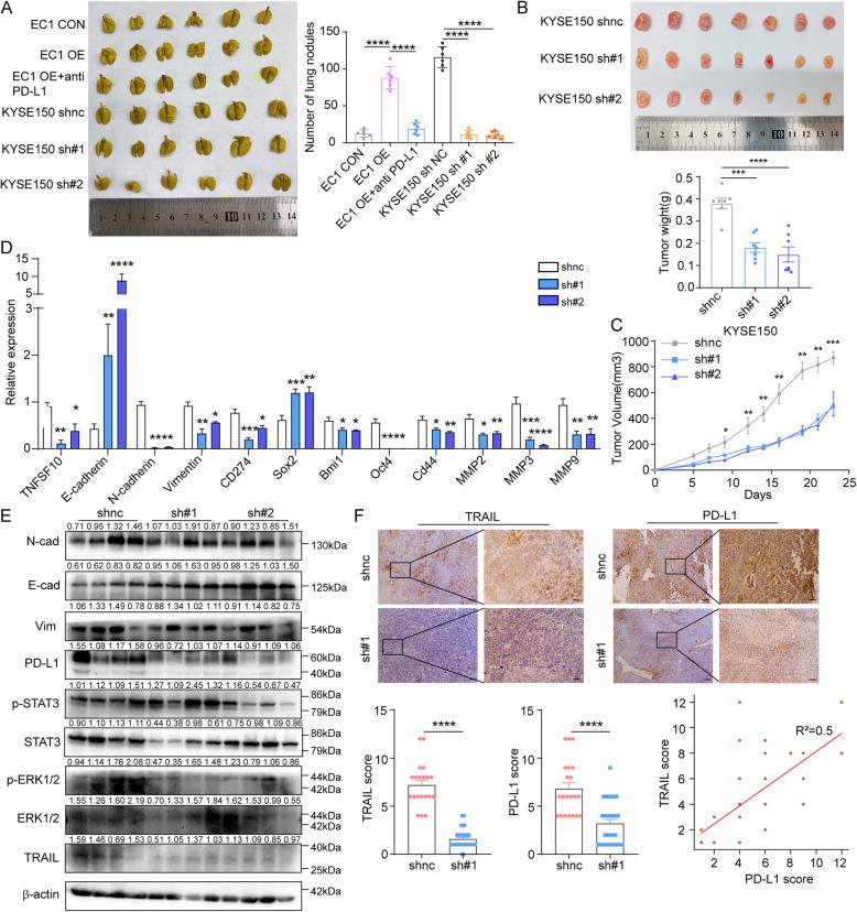 https://cdn.ncbi.nlm.nih.gov/pmc/blobs/1443/8223376/ab6ac5ad4860/13046_2021_1972_Fig6_HTML.jpg