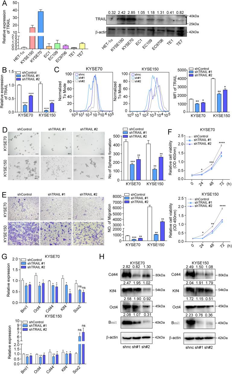 https://cdn.ncbi.nlm.nih.gov/pmc/blobs/1443/8223376/ad48bd33e86b/13046_2021_1972_Fig2_HTML.jpg