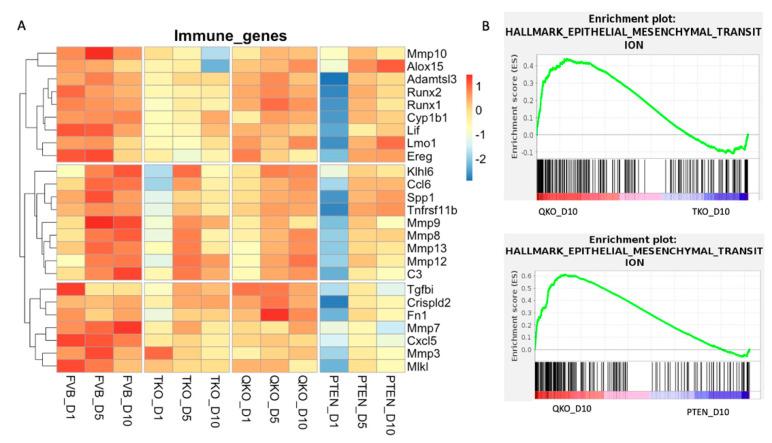 https://cdn.ncbi.nlm.nih.gov/pmc/blobs/1444/11274593/d3171bfaeac9/cells-13-01222-g010.jpg