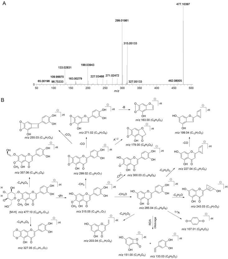 https://cdn.ncbi.nlm.nih.gov/pmc/blobs/1446/10230629/6fcaa50c8d08/gr3.jpg