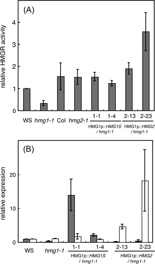 https://cdn.ncbi.nlm.nih.gov/pmc/blobs/1447/2682496/a061ce2e8bb6/jexboterp073f02_ht.jpg
