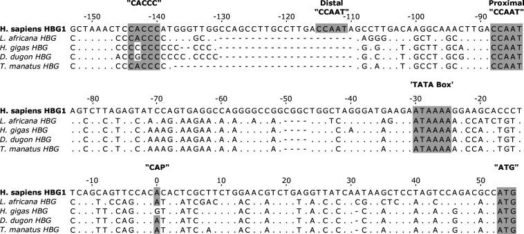 https://cdn.ncbi.nlm.nih.gov/pmc/blobs/1449/10284601/6f5a240e1ee8/elife-85414-fig4-figsupp2.jpg
