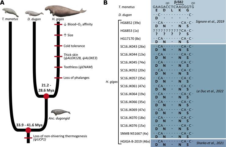 https://cdn.ncbi.nlm.nih.gov/pmc/blobs/1449/10284601/a6ebb17e2d79/elife-85414-fig1.jpg