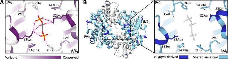 https://cdn.ncbi.nlm.nih.gov/pmc/blobs/1449/10284601/eedd72b26163/elife-85414-fig3.jpg