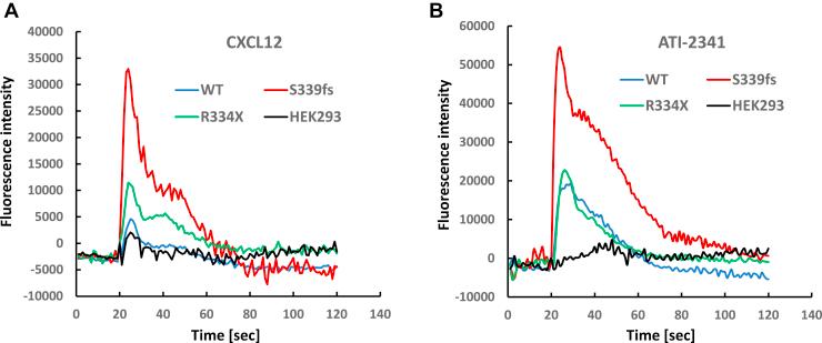 https://cdn.ncbi.nlm.nih.gov/pmc/blobs/1449/8802859/e89cb0336912/gr2.jpg