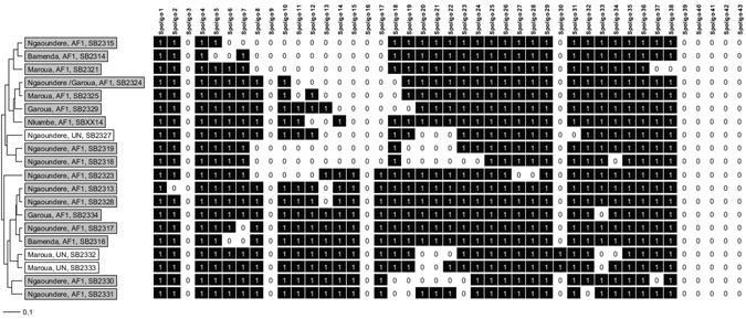https://cdn.ncbi.nlm.nih.gov/pmc/blobs/144b/5498612/68dd606c1ab4/41598_2017_4230_Fig2_HTML.jpg