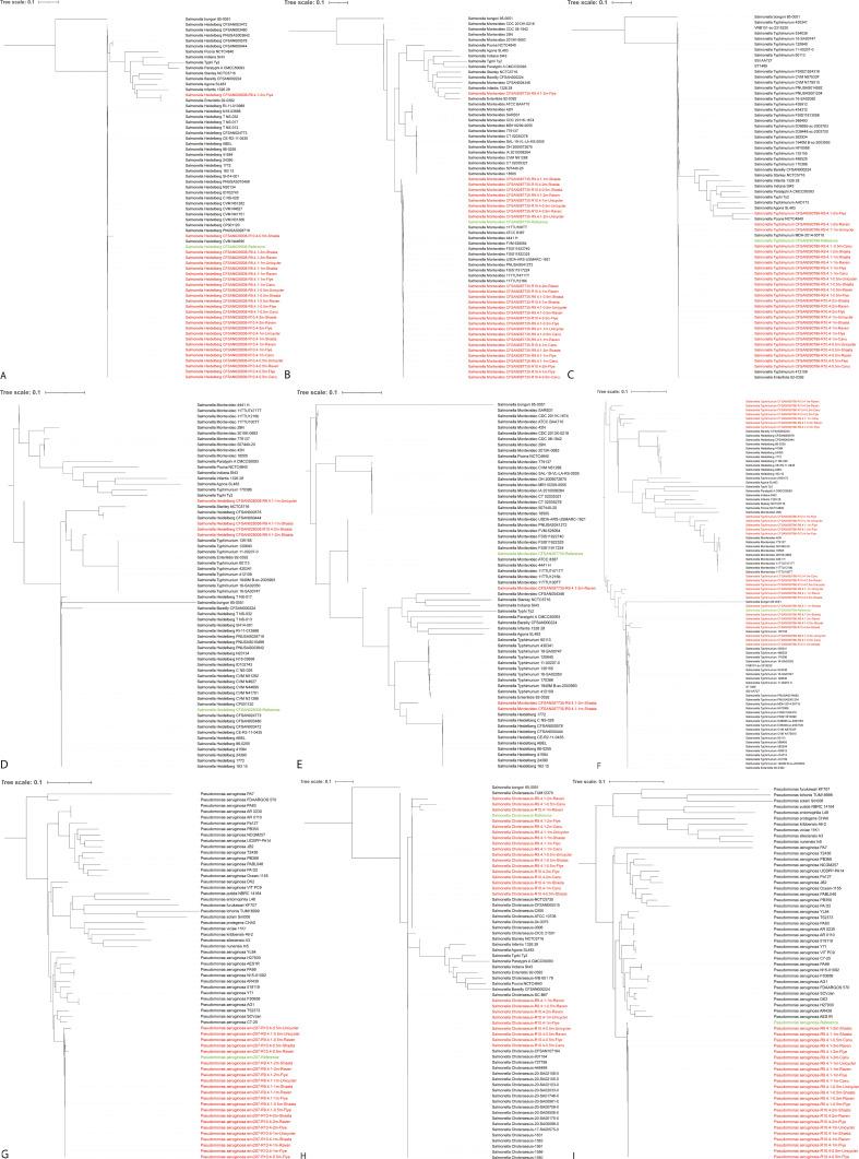 https://cdn.ncbi.nlm.nih.gov/pmc/blobs/144c/11237517/9fd81daeecf9/spectrum.00117-24.f009.jpg