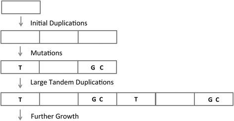 https://cdn.ncbi.nlm.nih.gov/pmc/blobs/144d/4595182/61b0f1dfc4ba/12862_2015_495_Fig6_HTML.jpg