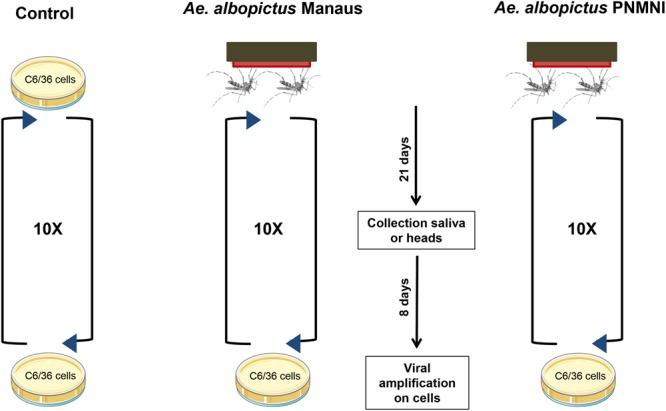 https://cdn.ncbi.nlm.nih.gov/pmc/blobs/144d/6156417/abae53b34d27/41598_2018_32198_Fig2_HTML.jpg