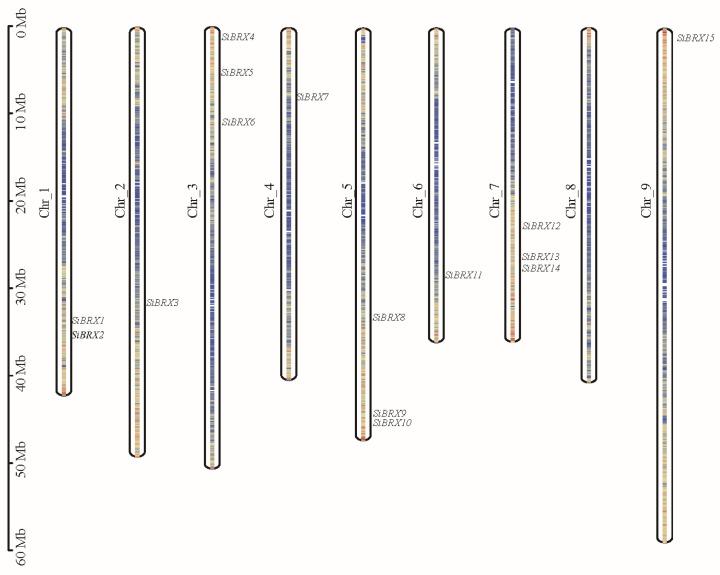 https://cdn.ncbi.nlm.nih.gov/pmc/blobs/144f/12027087/1f82c50f0567/genes-16-00374-g001.jpg