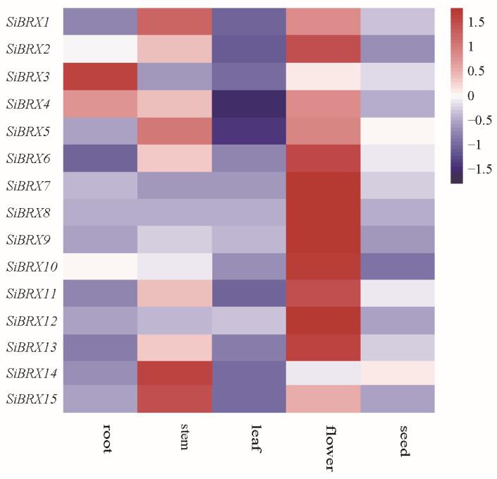 https://cdn.ncbi.nlm.nih.gov/pmc/blobs/144f/12027087/aa0b0b471d1c/genes-16-00374-g007.jpg