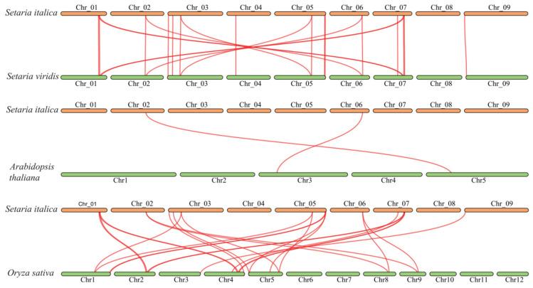 https://cdn.ncbi.nlm.nih.gov/pmc/blobs/144f/12027087/afb7735e1070/genes-16-00374-g005.jpg