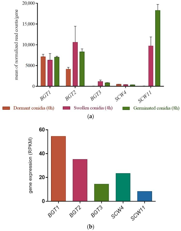 https://cdn.ncbi.nlm.nih.gov/pmc/blobs/144f/5872321/780795081712/jof-04-00018-g001.jpg