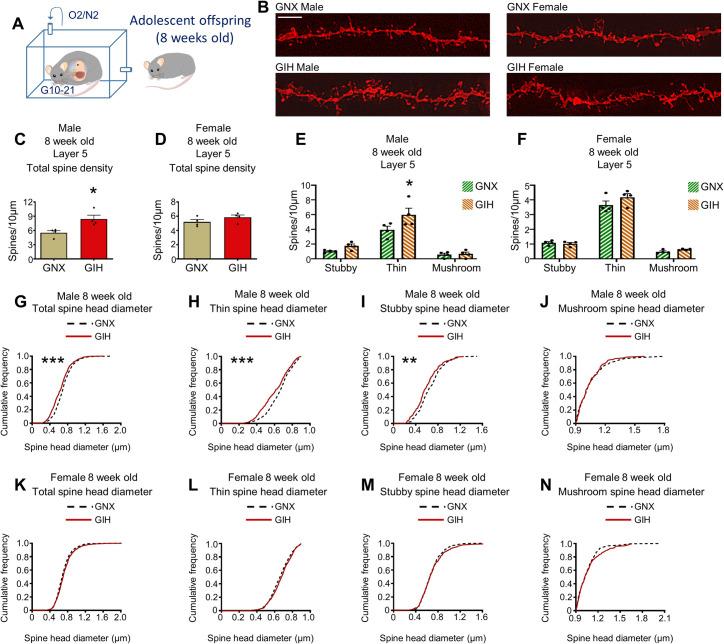 https://cdn.ncbi.nlm.nih.gov/pmc/blobs/144f/8812875/30f9914ce16b/pbio.3001502.g005.jpg
