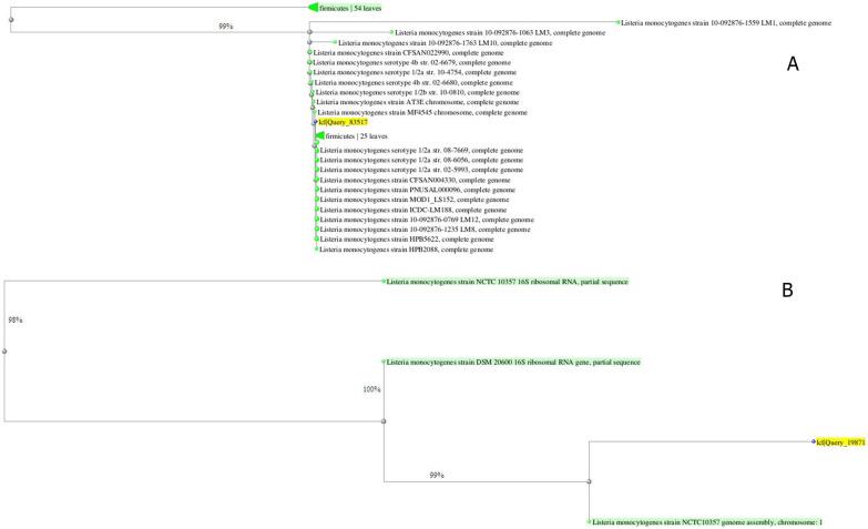 https://cdn.ncbi.nlm.nih.gov/pmc/blobs/1450/7884267/f4416b0f5345/IJM-12-537-g003.jpg