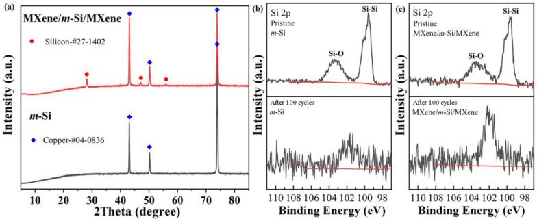 https://cdn.ncbi.nlm.nih.gov/pmc/blobs/1451/11767502/b56c720d1743/molecules-30-00297-g009.jpg