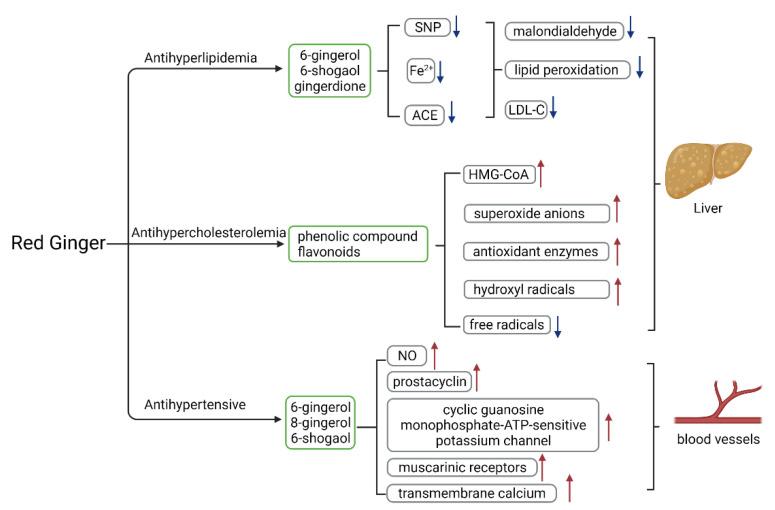 https://cdn.ncbi.nlm.nih.gov/pmc/blobs/1451/8840670/5f7c898c4e49/molecules-27-00775-g005.jpg