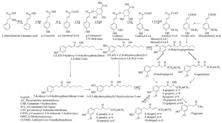 https://cdn.ncbi.nlm.nih.gov/pmc/blobs/1451/8840670/6717e4d6241b/molecules-27-00775-g002.jpg