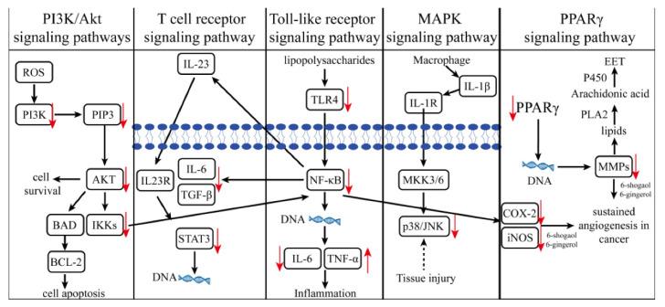 https://cdn.ncbi.nlm.nih.gov/pmc/blobs/1451/8840670/f0cec56efa6c/molecules-27-00775-g004.jpg