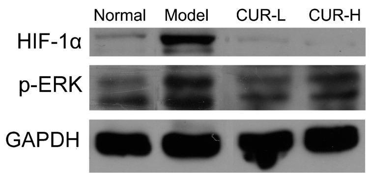 https://cdn.ncbi.nlm.nih.gov/pmc/blobs/1453/6270950/99384ef8611a/molecules-19-18767-g004a.jpg