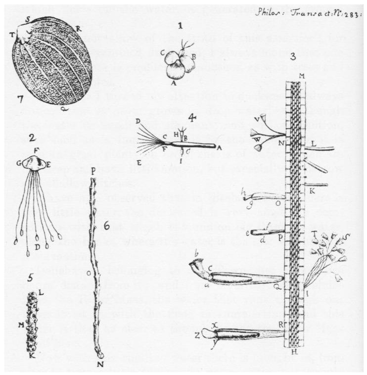 https://cdn.ncbi.nlm.nih.gov/pmc/blobs/1453/9786924/4548e82e0e00/pathogens-11-01540-g002.jpg