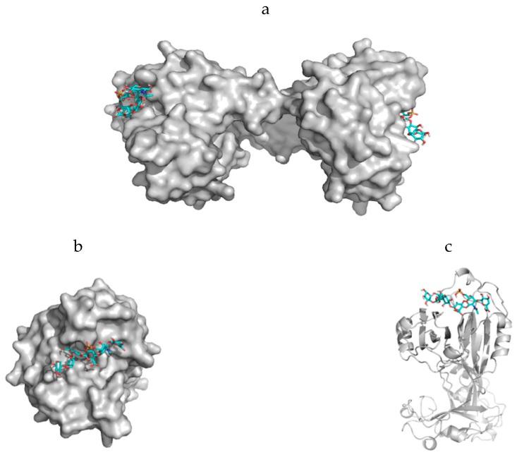 https://cdn.ncbi.nlm.nih.gov/pmc/blobs/1454/6722915/82d428123a9f/marinedrugs-17-00469-g006.jpg