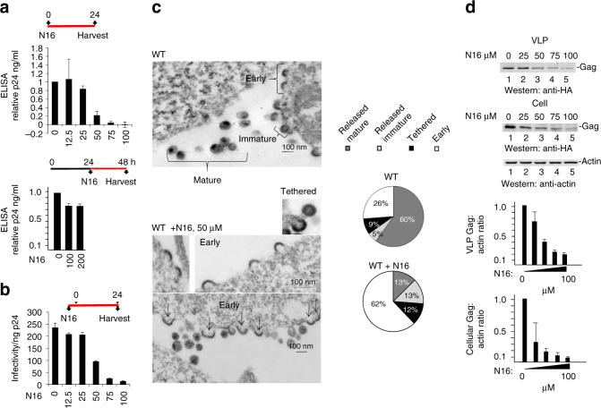 https://cdn.ncbi.nlm.nih.gov/pmc/blobs/1455/5680296/00805edd964c/41467_2017_1426_Fig1_HTML.jpg