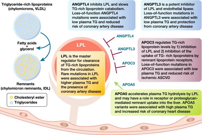 https://cdn.ncbi.nlm.nih.gov/pmc/blobs/1455/6549355/26831de1e362/12933_2019_864_Fig2_HTML.jpg