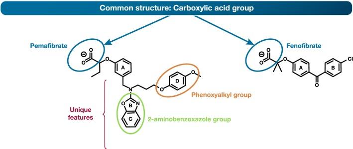 https://cdn.ncbi.nlm.nih.gov/pmc/blobs/1455/6549355/28d55a09b23f/12933_2019_864_Fig5_HTML.jpg