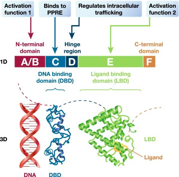 https://cdn.ncbi.nlm.nih.gov/pmc/blobs/1455/6549355/d27d5c30f23b/12933_2019_864_Fig3_HTML.jpg