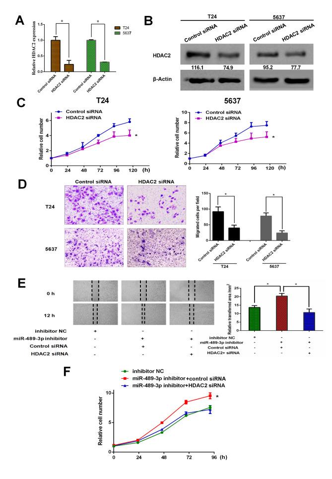 https://cdn.ncbi.nlm.nih.gov/pmc/blobs/1455/7405606/c08ce5f65338/ol-20-04-11869-g03.jpg