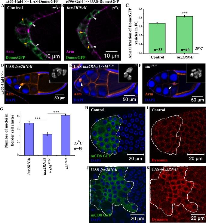 https://cdn.ncbi.nlm.nih.gov/pmc/blobs/1456/5256874/1435e2908305/pgen.1006542.g004.jpg
