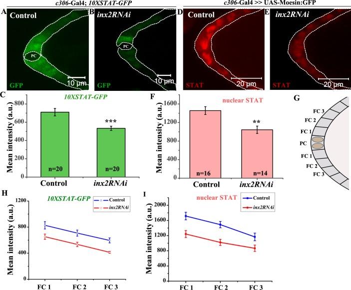 https://cdn.ncbi.nlm.nih.gov/pmc/blobs/1456/5256874/ca430360dd95/pgen.1006542.g002.jpg