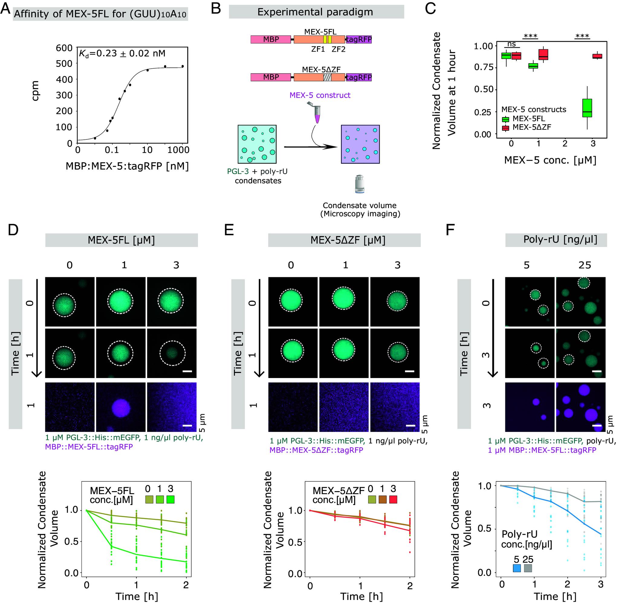 https://cdn.ncbi.nlm.nih.gov/pmc/blobs/1457/12107180/7fbe1d388fb6/pnas.2412218122fig03.jpg