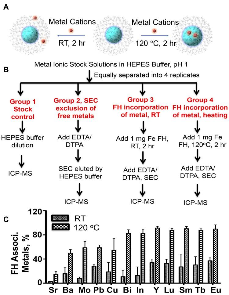 https://cdn.ncbi.nlm.nih.gov/pmc/blobs/1457/6954846/06ae8e311cca/IJN-15-31-g0002.jpg