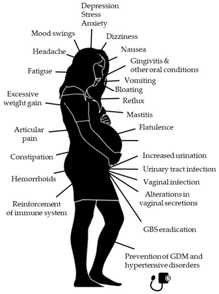https://cdn.ncbi.nlm.nih.gov/pmc/blobs/145a/11727567/286607a044ba/foods-13-04024-g001.jpg