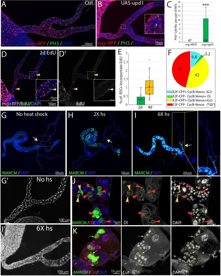 https://cdn.ncbi.nlm.nih.gov/pmc/blobs/145b/7093152/8d7be4cd6f41/elife-54096-fig6.jpg