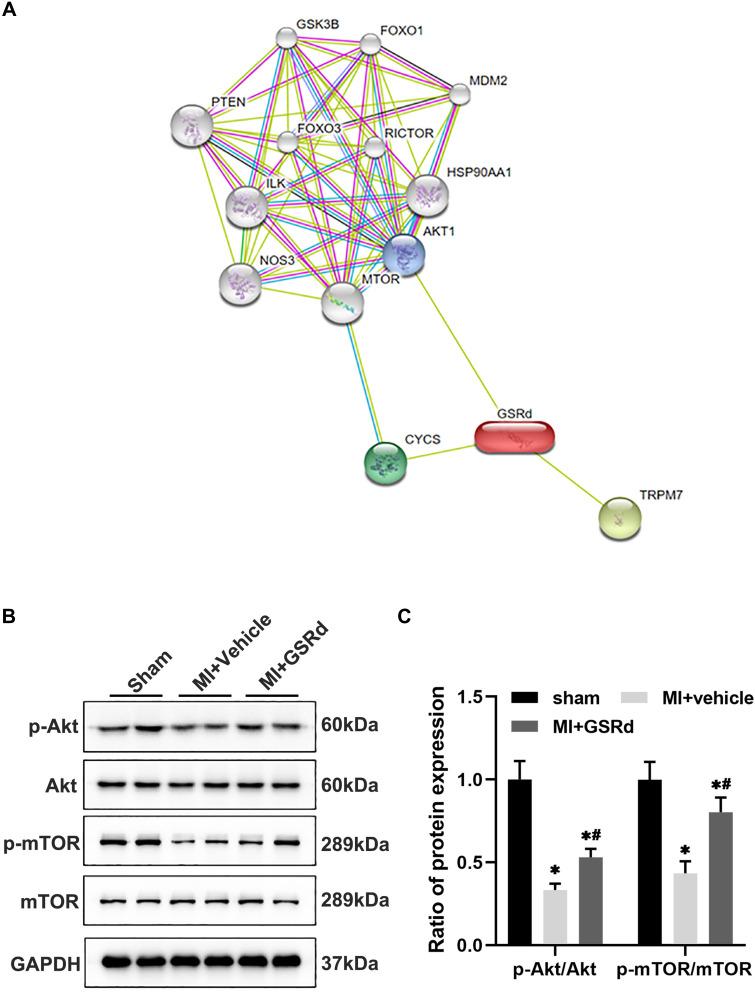 https://cdn.ncbi.nlm.nih.gov/pmc/blobs/145b/9416535/1d4aadaf79ed/DDDT-16-2767-g0005.jpg