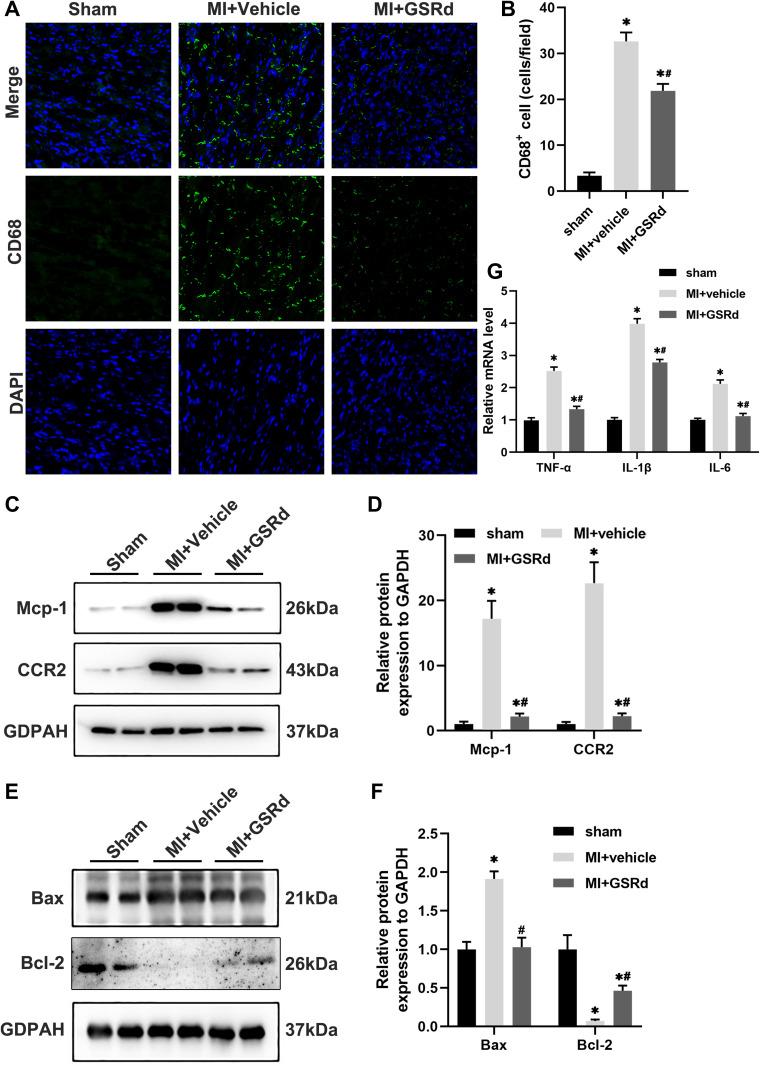 https://cdn.ncbi.nlm.nih.gov/pmc/blobs/145b/9416535/3905b38bb276/DDDT-16-2767-g0003.jpg