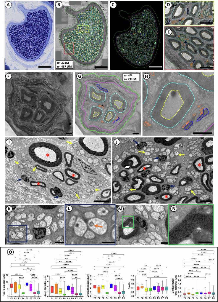 https://cdn.ncbi.nlm.nih.gov/pmc/blobs/145c/11576867/33f481f5f9ef/42003_2024_7222_Fig4_HTML.jpg