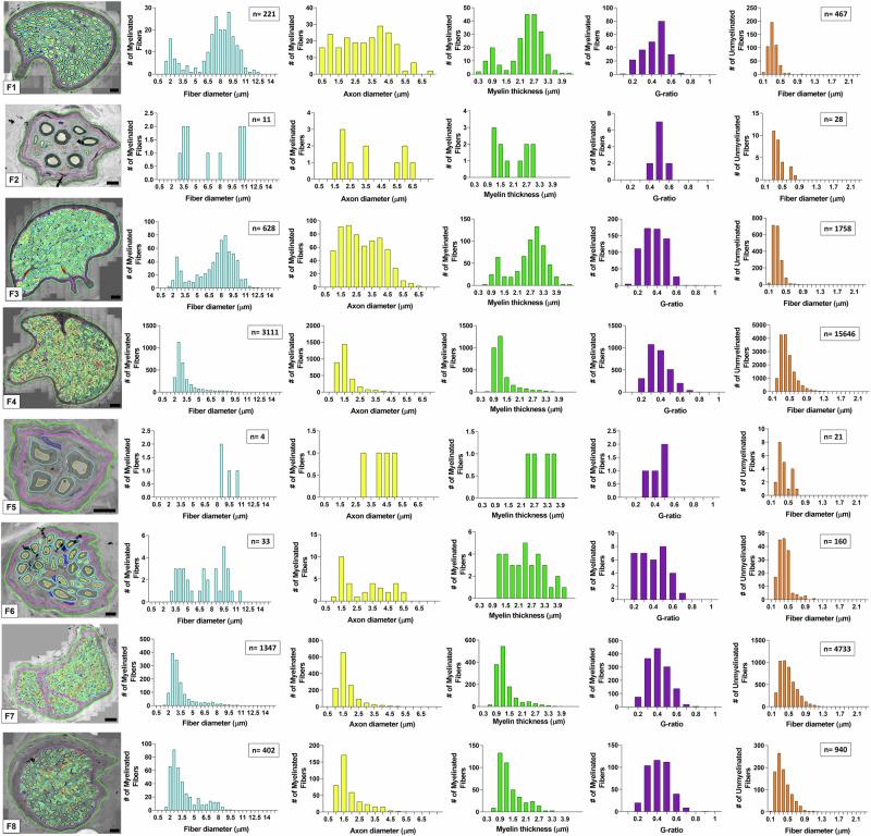 https://cdn.ncbi.nlm.nih.gov/pmc/blobs/145c/11576867/71038a4a5056/42003_2024_7222_Fig3_HTML.jpg